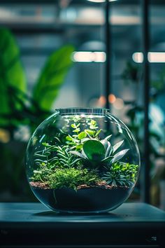 a glass bowl filled with plants on top of a table