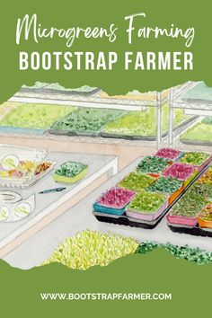 watercolor painting of many different types of plants and flowers with text overlay that reads, microgreens farming boottrap farmer