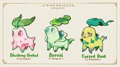 four different types of pokemons with green leaves on their heads and the names of them