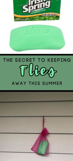 Natural Fly Repellant Home, Diy Fly Trap Outdoor, Fly Repellant Diy Outdoors, Home Made Bug Repellent Spray, Flies Repellent Outdoor, How To Get Rid Of Flies Outside Patio, Home Made Fly Spray, Fly Repellant Diy Outdoors Essential Oil