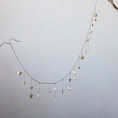 a branch with stars hanging from it