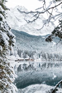 a lake surrounded by trees covered in snow