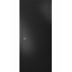 an empty black door on a white background