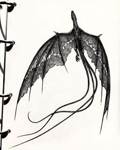 a black and white drawing of an insect with long legs on it's back