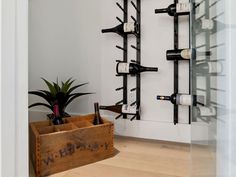 a wine rack in the corner of a room with bottles on it and a potted plant next to it