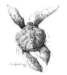 a drawing of a sea turtle with bubbles on it's back and its head in the air