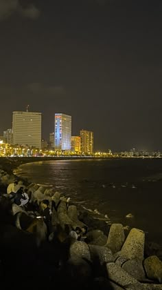 the city is lit up at night by the water's edge with rocks in front of it