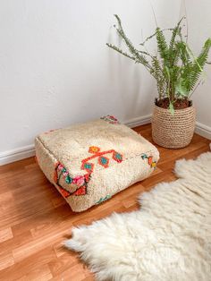 two plants are sitting on the floor next to a white rug and a potted plant