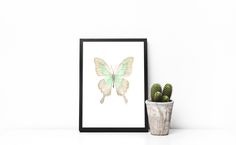 a green and white butterfly on a white wall next to a cactus in a pot