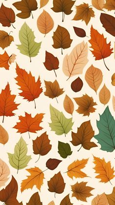 many different colored leaves are arranged on a white background with brown, green, and orange colors