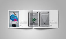 an open brochure is displayed on a gray background with the image of a potted plant