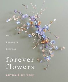 the cover of forever flowers by antonio de vere