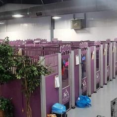 the stalls are lined up in rows with purple walls and doors on each one side