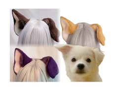 three different styles of dogs with long hair on their heads and ears, all wearing wigs