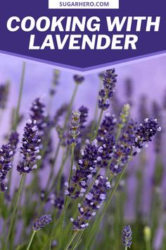 lavender flowers with the title cooking with lavender