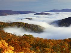 the mountains are covered in thick clouds and fall foliages, as seen from above