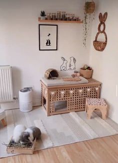 a cat laying on top of a wooden floor next to a radiator