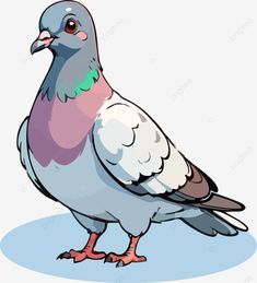 pigeon bird cartoon art pigeon dove bird png Pigeon Drawing Easy, Pigeon Drawing, Bird Png, Bird Cartoon, Pigeon Bird, Dove Bird, Aztec Design, Aztec Designs, Drawing Easy