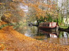 a boat is docked on the side of a river surrounded by trees and fallen leaves