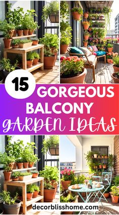 Transform your balcony into a green haven with vertical garden walls | colorful flower pots | climbing vines | hanging planters | lush herb gardens | tiered plant stands | compact greenhouses | bright blooms | bamboo privacy screens | wicker furniture | natural wood planters | cascading ivy | seasonal floral arrangements | DIY garden accents | and vibrant foliage. Vines Hanging, Balcony Garden Ideas, Bamboo Privacy, Garden Walls, Herb Gardens