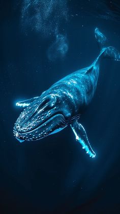 a blue whale swimming in the ocean with bubbles on it's face and tail