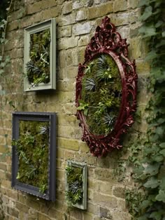 there are three frames on the wall with plants growing in them and one has a mirror hanging on it