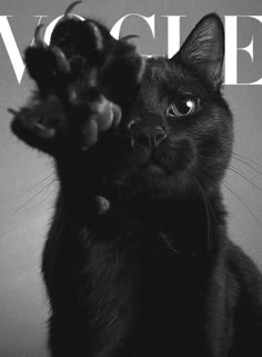 a black cat sitting on top of a magazine cover with its paw in the air