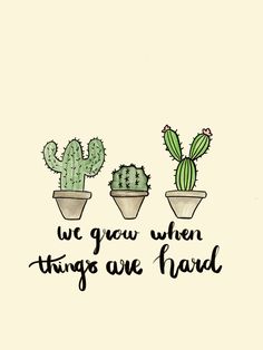 three potted cacti with the words we grow when things are hard