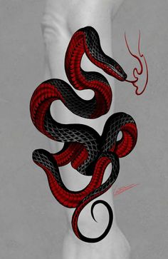 a drawing of a red and black snake