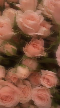 a bunch of pink roses that are in the middle of blurry image with green leaves