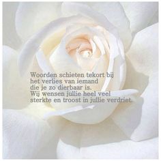 a white rose with the words written in german