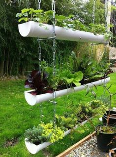 an outdoor garden with plants hanging from it's sides, and some potted plants in the middle