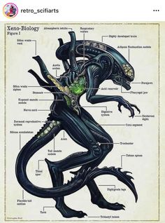 an image of the anatomy of a black alien