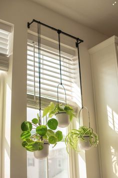 three hanging planters in front of a window