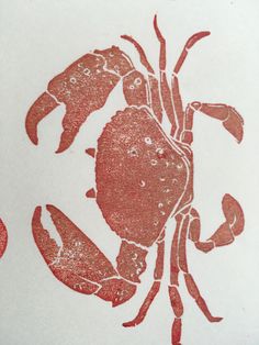 a red and white drawing of a crab