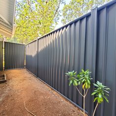 a small tree in front of a metal fence