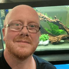 a man with glasses is looking at the camera while in front of an aquarium tank