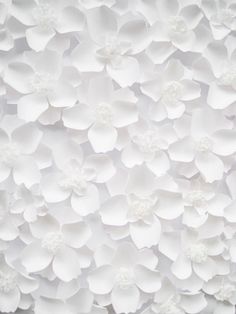 white paper flowers are arranged on the wall