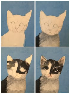 four different pictures of a cat's face with the same expression as it appears to be painted