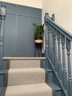 a set of stairs leading up to a potted plant