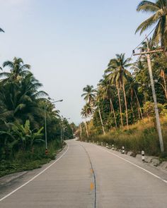 an empty road surrounded by palm trees on both sides