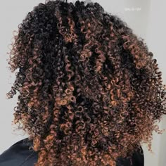 Pumpkin Spice Hair, Cabello Afro Natural, Curly Color, Pelo Afro