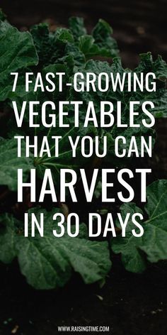 green plants with the words 7 fast growing vegetables that you can harvest in 30 days