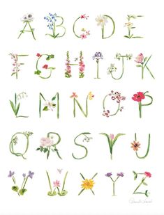 the letters and numbers are made up of flowers, leaves and stems in watercolor