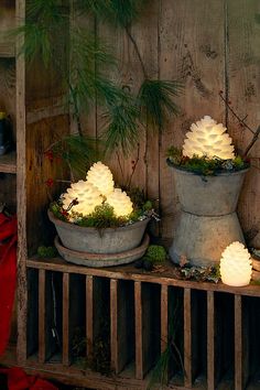 three potted plants with lights in them sitting on a shelf next to a wooden wall