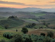 the rolling hills are dotted with trees and bushes as the sun sets in the distance