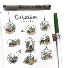 an open notebook with various plants and writing on the pages, including terrarium doodles