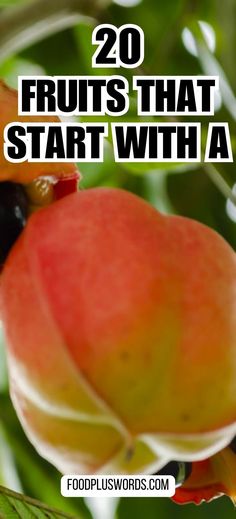 an apple on a tree with the words 20 fruits that start with a