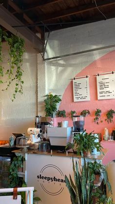 there is a coffee shop with plants on the counter