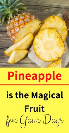 pineapple is the magic fruit for your dogs